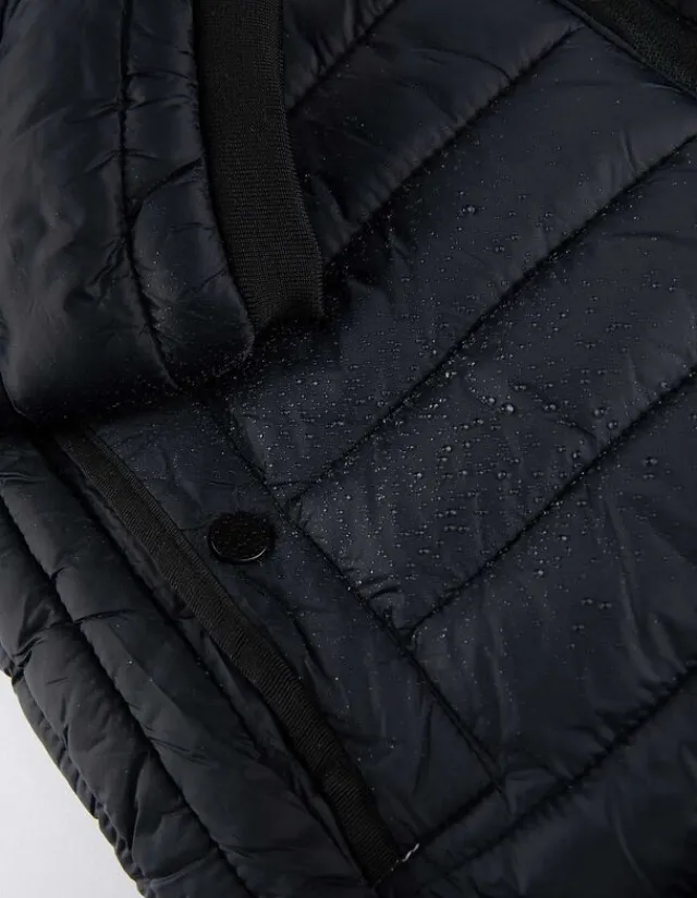 Best Steppjacke - Stehkragen - Herren Jacken