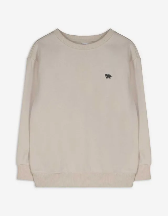 Hot Sweatshirt - einfarbig - Kinder Jungenkleidung